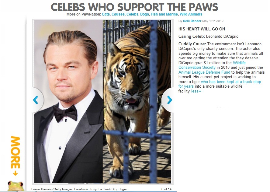 http://www.pawnation.com/2012/05/11/celebs-who-support-the-paws#photo=6